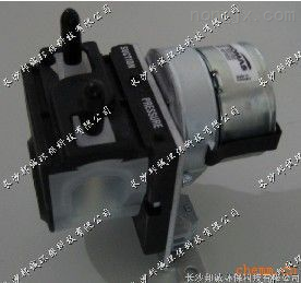 CEMS蠕动泵SR25(20256)-长沙邦诚环保科技